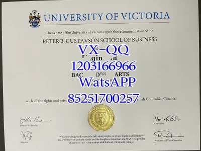 Diploma from Victoria University