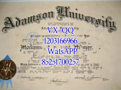Adamson University Diploma