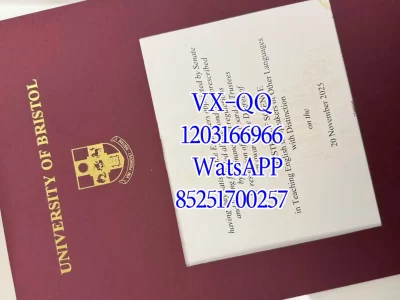 Bristol University Diploma
