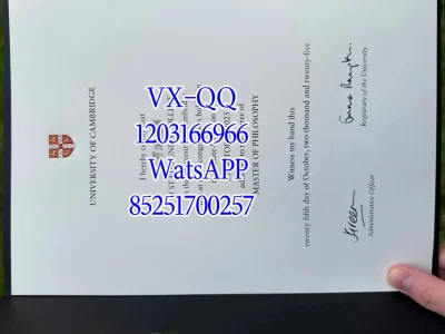 Cambridge University Diploma