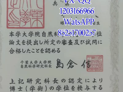 Chiba University Diploma