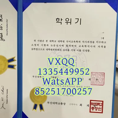 Busan National University Diploma: Official Guide to Certificates & Verification