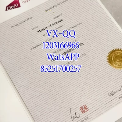 City University of Hong Kong Official Transcript: Application, Verification & Delivery Guide