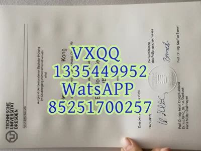 Diploma from Dresden University of Technology