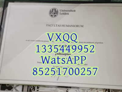 Diploma from Erasmus University Rotterdam
