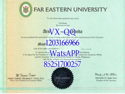 Diploma from Far Eastern University in the Philippines