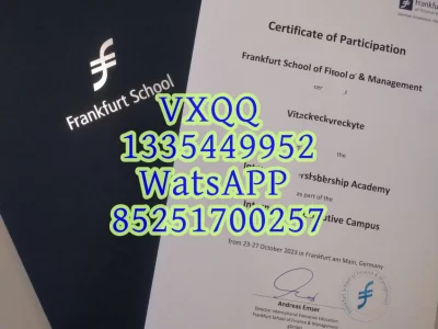 Diploma from Frankfurt University