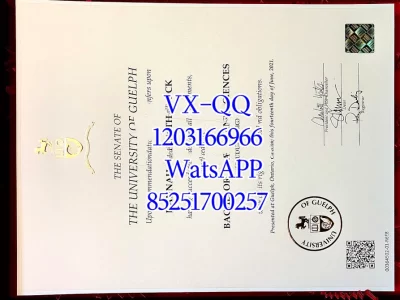 Diploma from Guelph University