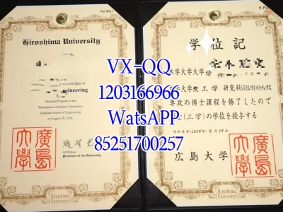 Diploma from Hiroshima University