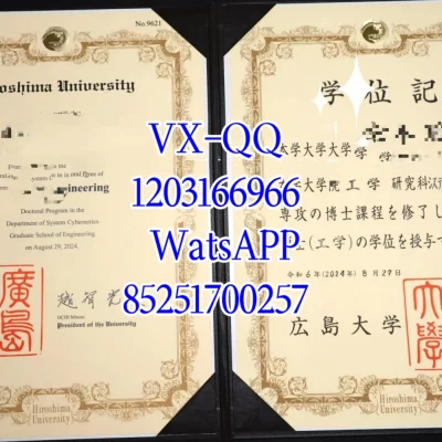 Hiroshima University Diploma & Certificate: Recognition, Value 2026