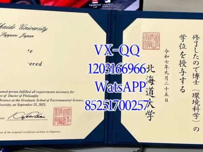 Diploma from Hokkaido University