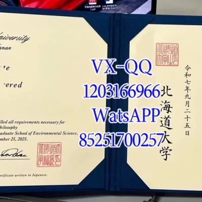 Hokkaido University Diploma & Certificate: Recognition, Value 2026