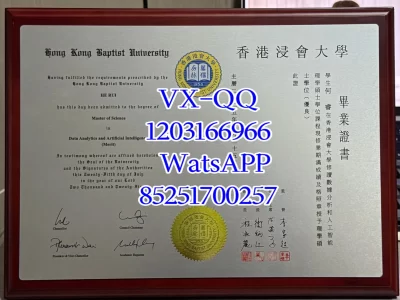 Diploma from Hong Kong Baptist University