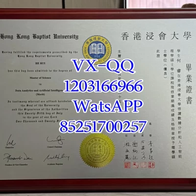 Hong Kong Baptist University Diploma: Certification, Diploma Programs, and Career Prospects