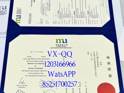 Diploma from Hong Kong Metropolitan University