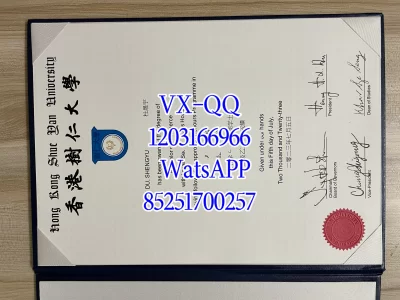 Diploma from Hong Kong Shue Yan University