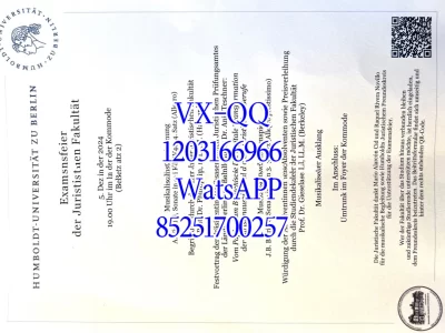Diploma from Humboldt University Berlin