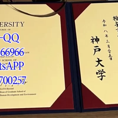 Kobe University Diploma & Certificate: Recognition, Value 2026
