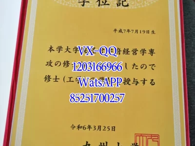 Diploma from Kyushu University