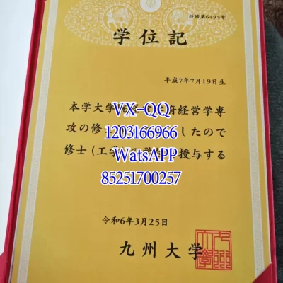 Kyushu University Diploma & Certificate: Recognition, Value 2026