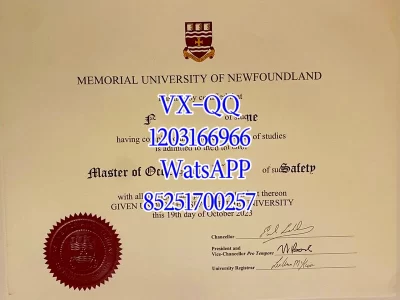 Diploma from Memorial University of Newfoundland
