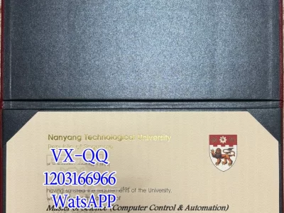 Diploma from Nanyang Technological University
