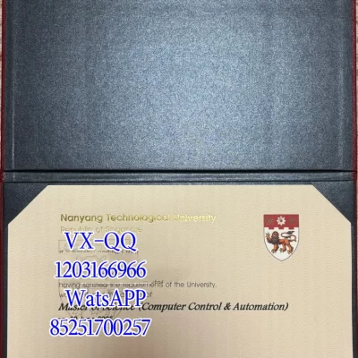 Nanyang Technological University Degree Certificate: Design, Verification, and Employment Value