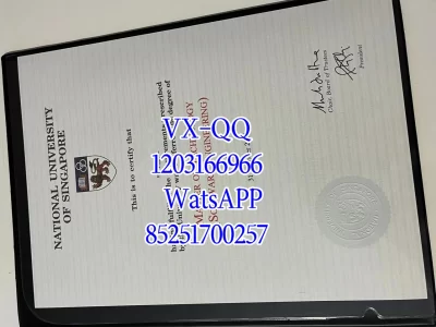 Diploma from National University of Singapore