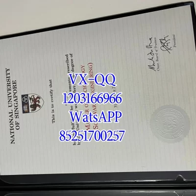 National University of Singapore Degree Certificate & Transcript: Employment Value
