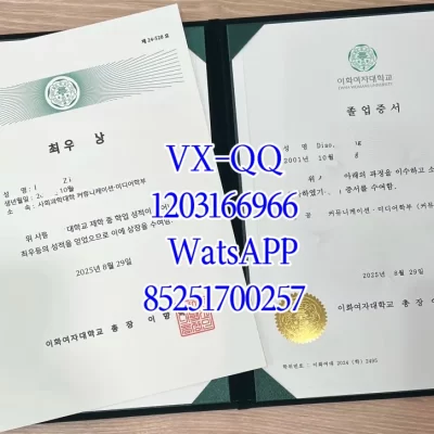 Ewha Womans University Diploma: Campus Life & Cultural Experience