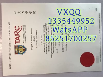 Diploma from Raman University