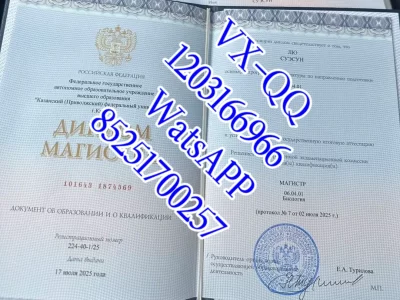 Diploma from Rio Federal University