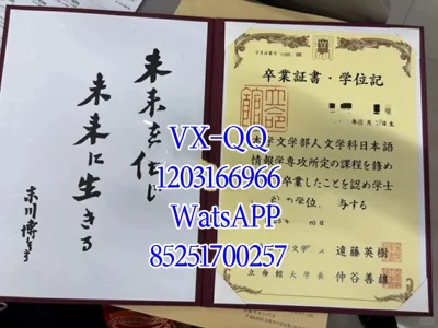 Diploma from Ritsumeikan University