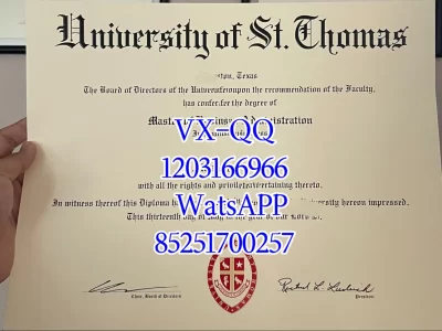 Diploma from Saint Thomas University