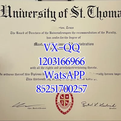 University of Santo Tomas Diploma: 2026 Degree Structure & Authentication Guide