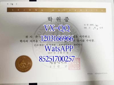 Diploma from Sejong University