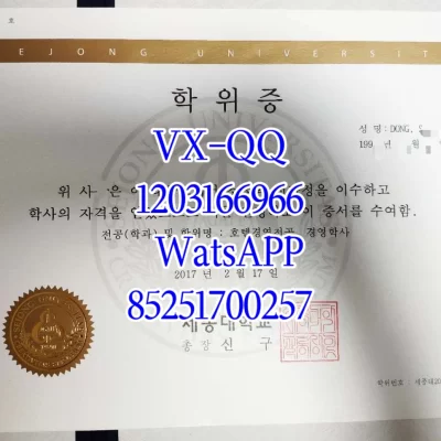 Sejong University Diploma in Film & Media: Top Majors, Curriculum, and Admission Guide
