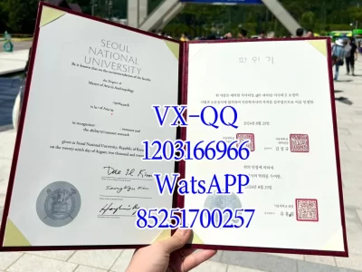 Korean University Diploma
