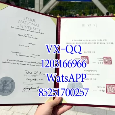 Seoul National University Diploma & Majors Guide: Accredited Programs for Global Careers