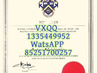 Diploma from Setya University