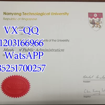Singapore Management University Degree Certificate: Design, Verification, and Employment Value