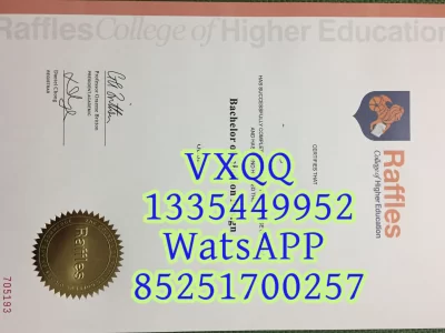 Diploma from Singapore University of Technology and Design