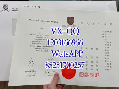 Diploma from The Chinese University of Hong Kong