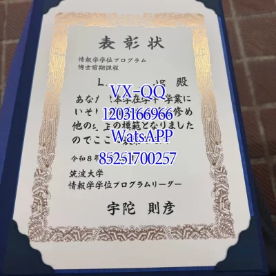 University of Tsukuba Diploma & Certificate: Recognition, Value 2026