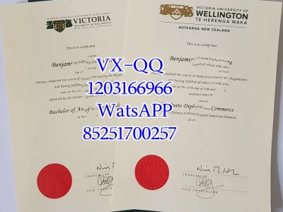 Diploma from Victoria University of Wellington