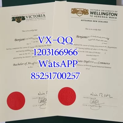 Full NZQA Accreditation & Local Student Guide (2026)