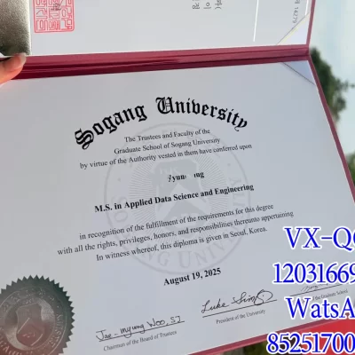Sogang University Diploma: Top Majors & Curriculum Guide
