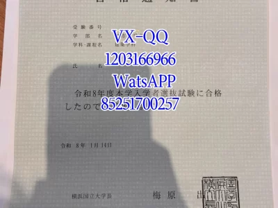 Diploma from Yokohama National University