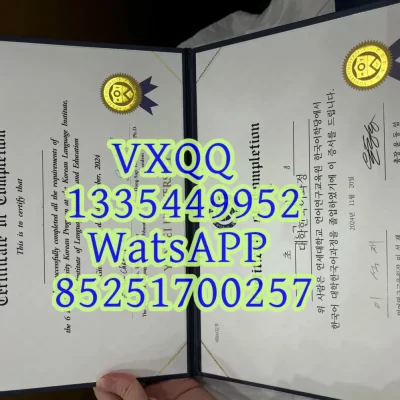 Application Process for Yonsei University Degree and Diploma