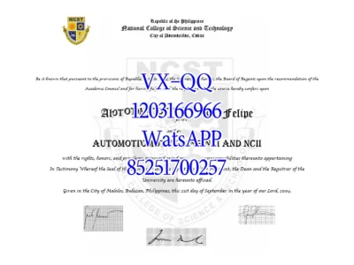 Diploma from the National University of the Philippines